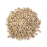 Common  White Pepper